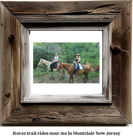 horse trail rides near me in Montclair, New Jersey